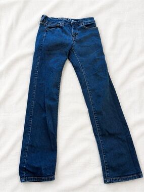American Eagle Outfitters Dark Blue Flare Jeans